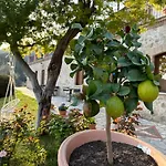 La Tenuta Dei Fiori