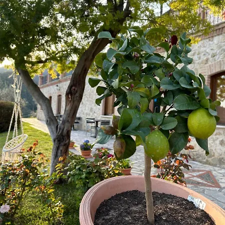 La Tenuta Dei Fiori
