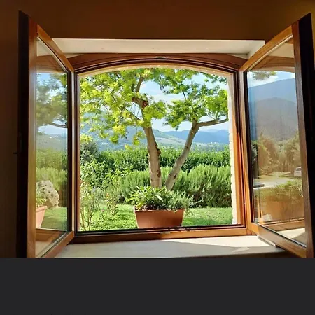 La Tenuta Dei Fiori *