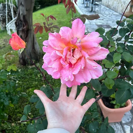 La Tenuta Dei Fiori Country house *